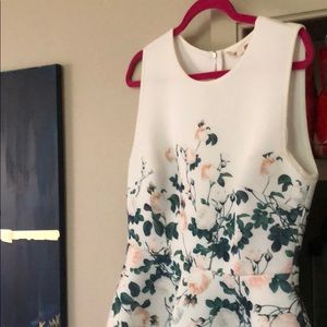 Erin Fetherson Skater Dress